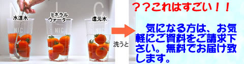 おーいお茶の実験