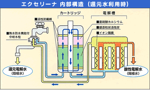 還元水を生成エクセリーナの内部構造