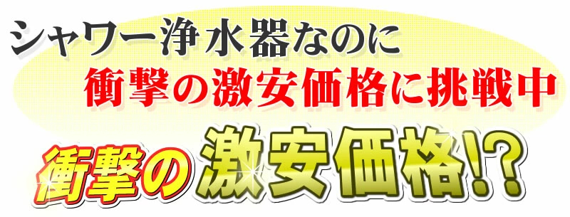 据置型シャワー浄水器かお得に