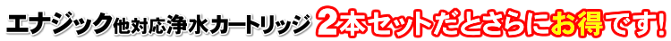 エナジック・サナステックお得な2本セット