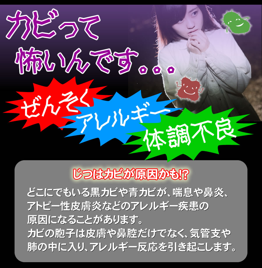 防カビジェットD