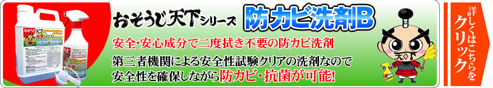 おそうじ天下カビ除去洗剤G