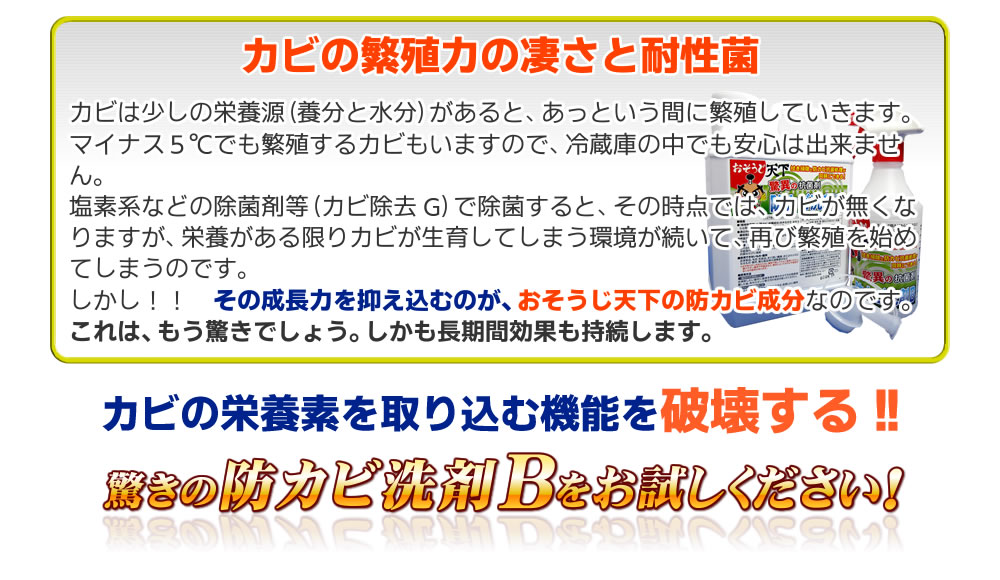 おそうじ天下防カビ洗剤B(2L)説明06