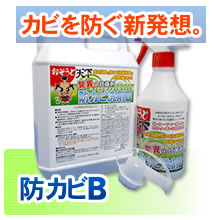 おそうじ天下　防カビ洗剤B